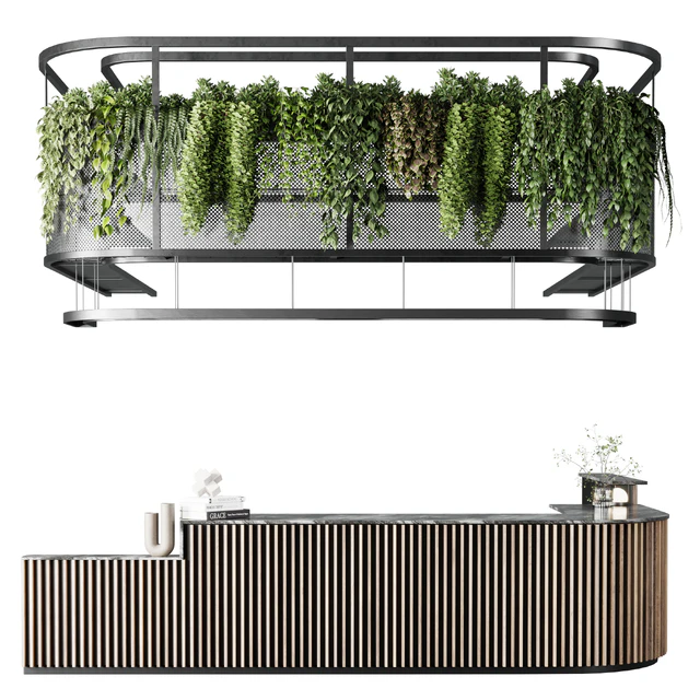 Coffee shop reception, Restaurant counter by hanging plant - 03 — Download