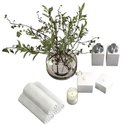 Decorative bathroom set with a bouquet of branches — Ver 4