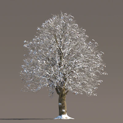 057 winter — Скачать
