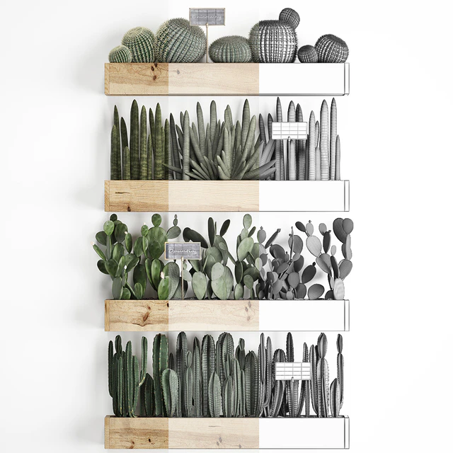 Vertical gardening. 42. Cacti, shelf with flowers, echinocactus, cereus, sansevieria, Prickly pear, Barrel cactus, eco design, plants, phytowall — Descargar