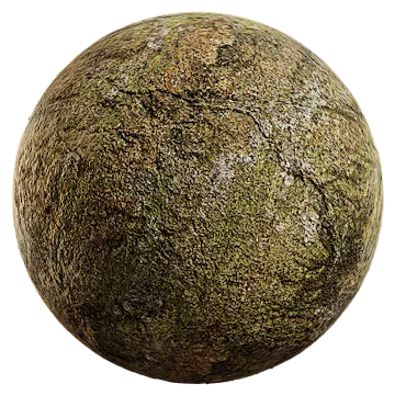 nordic forest detail rock coarse 002 — Descargar