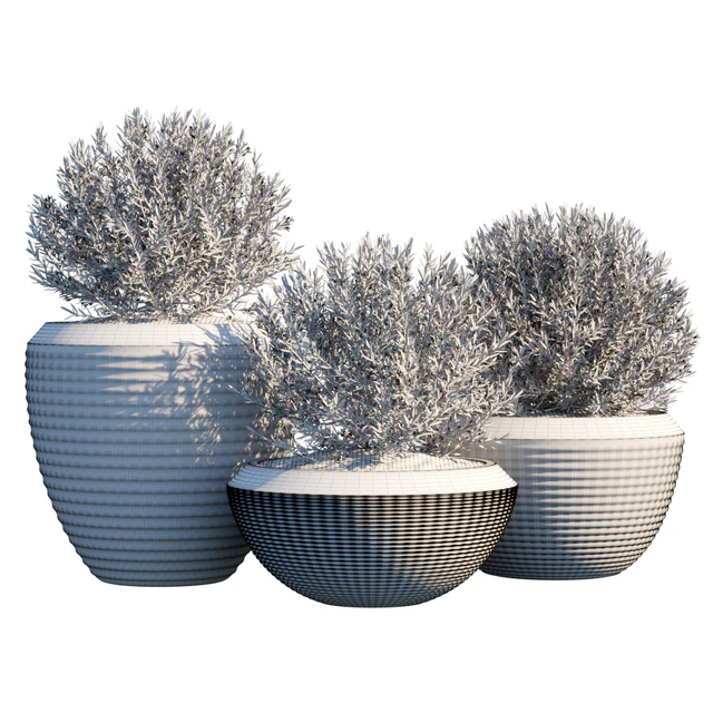 Plant in pots #4 — Скачать