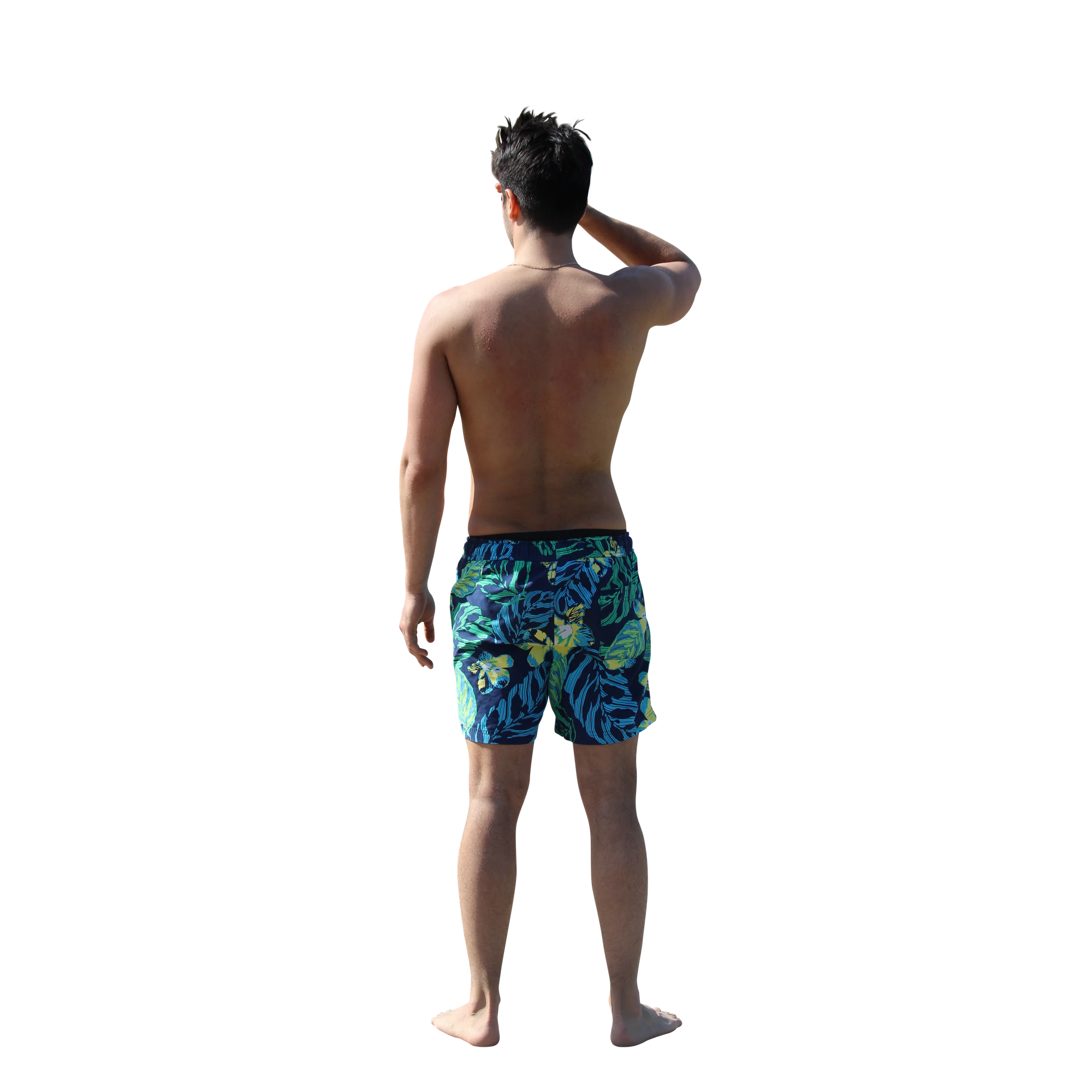 3270 — Descargar