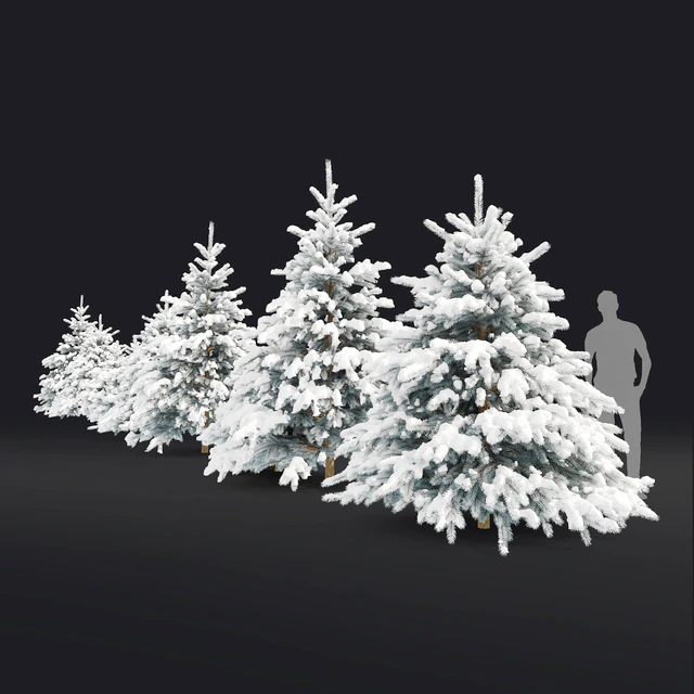 Spruce winter — Скачать