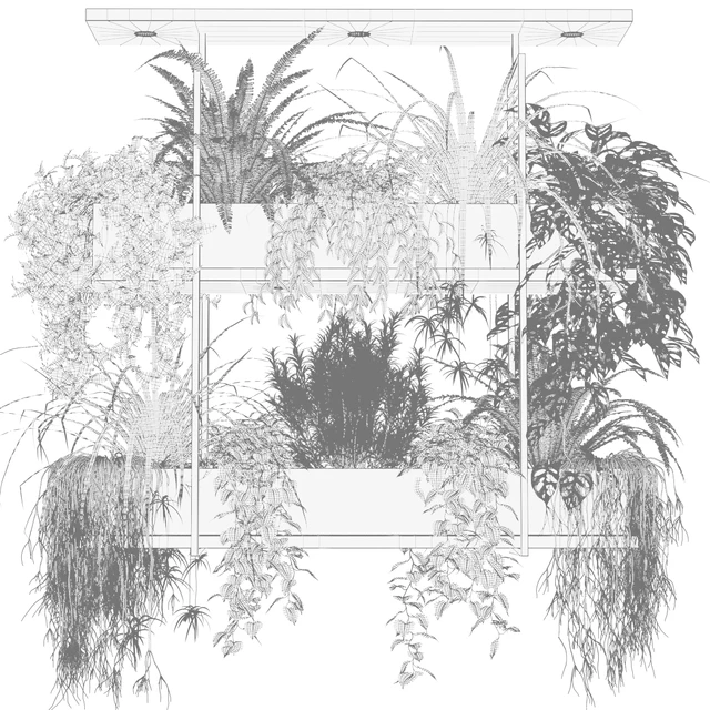Hanging plants, indoor plant, hanging plants OSLO — Descargar