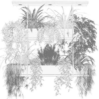 Hanging plants, indoor plant, hanging plants OSLO — Ver 3