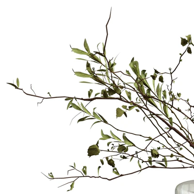 Bouquet of olive branches and wood — Ver 4