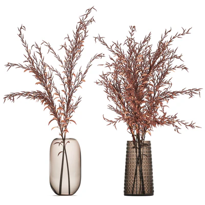 Bouquet of red branches of dried flowers in a glass vase with Goldenrod, Solidago. Set 153. — Ver 1