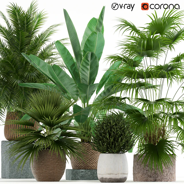 Plants collection 125 — Скачать