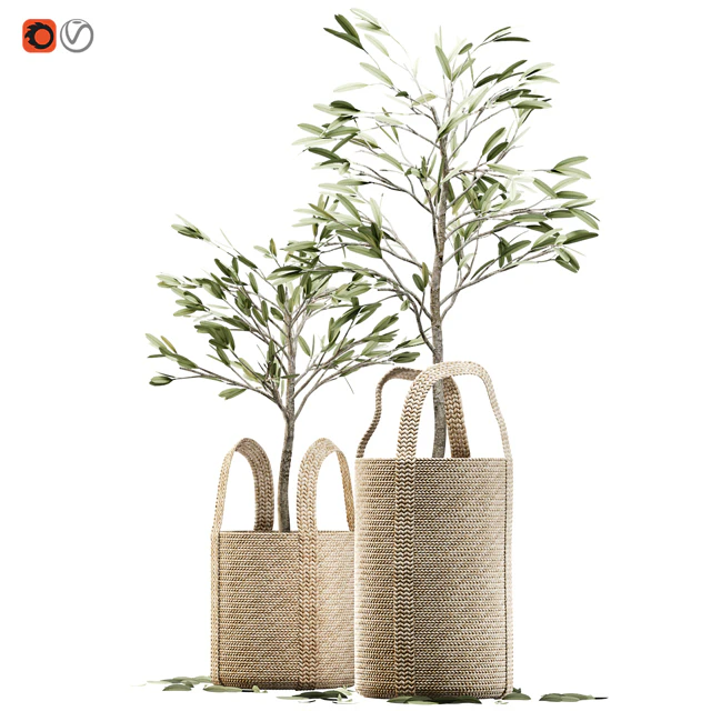 Wicker basket containing the delicate olive tree in pastel tones — Descargar