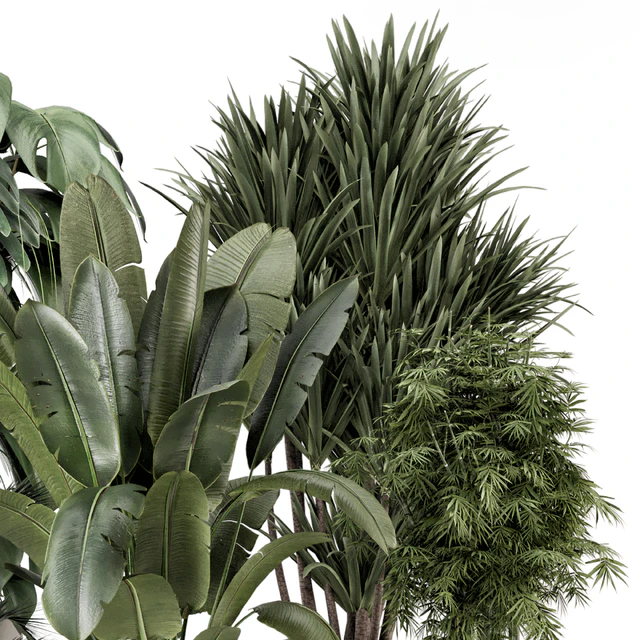 Indoor Plants  in rusty Concrete Pot - Set 1331 — Скачать