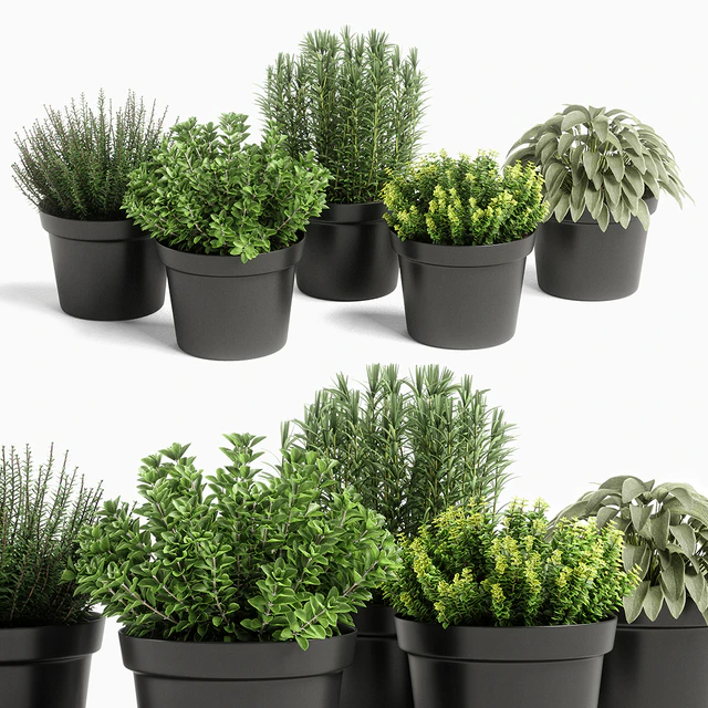 plants set 05 — Скачать