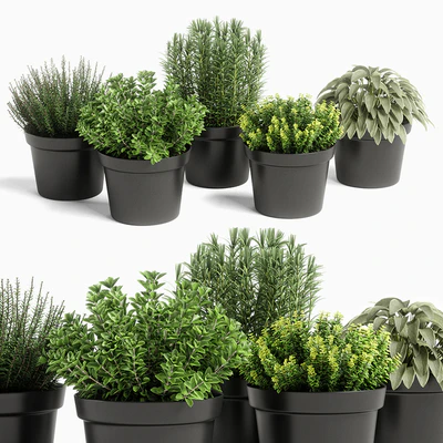 plants set 05 — Вид 1