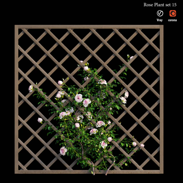 Rose plant set 15 — Скачать
