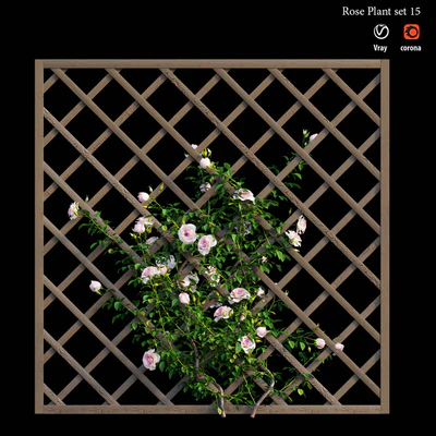 Rose plant set 15 — Вид 4