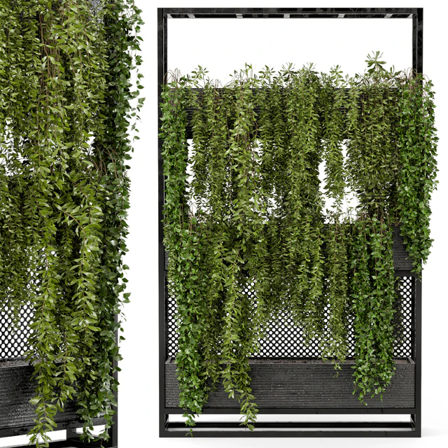 Indoor Hanging Plants in Metal Stand - Set 100 — Descargar