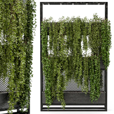 Indoor Hanging Plants in Metal Stand - Set 100 — Ver 6