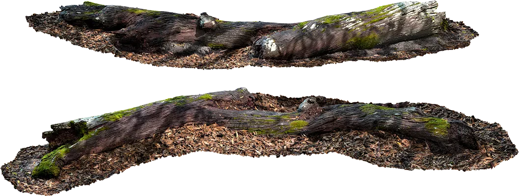 wooden log 002 — Descargar