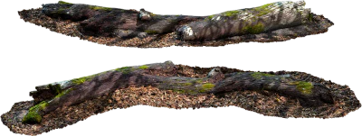 wooden log 002 — Descargar