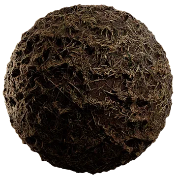 dried grass 010 — Descargar