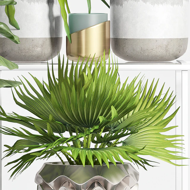 PLANT SET -59 — Descargar