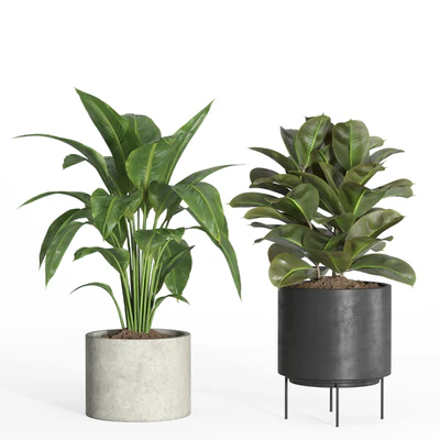 indoor plant set 35-concrete and metal pot — Вид 4