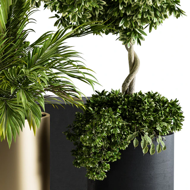 indoor Plant Set 90 - Black and Gold — Descargar