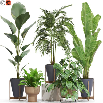 Plants collection 717 — Ver 1