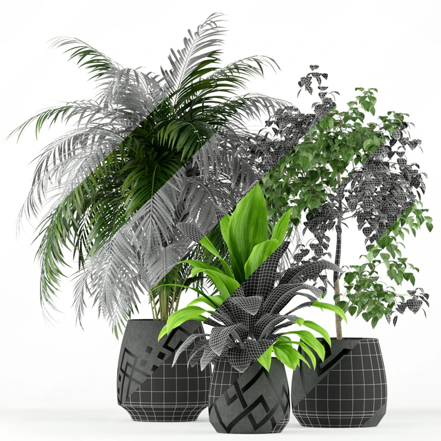Plants collection 195 — Descargar