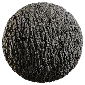 cottonwood bark 001 — Descargar
