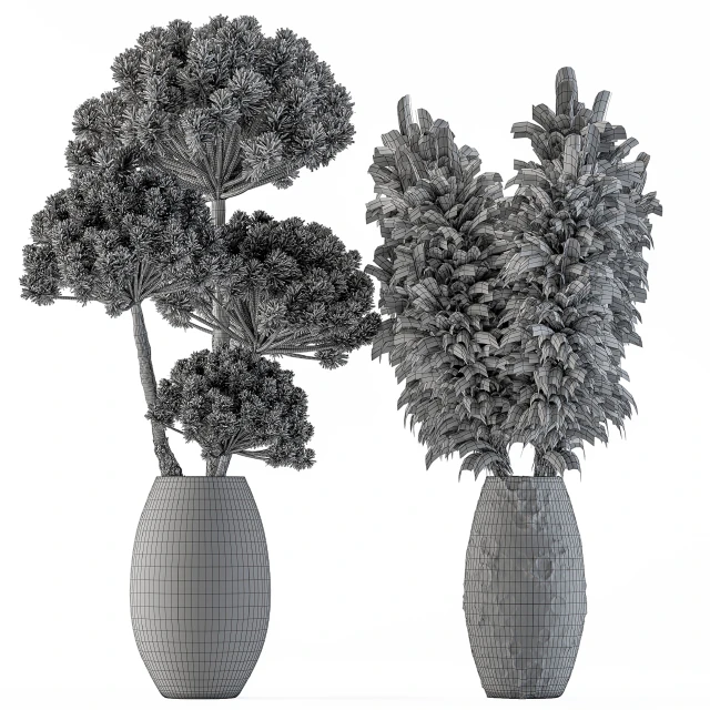 Dry plants 22 - Big Pampas asteroid Pot — Скачать