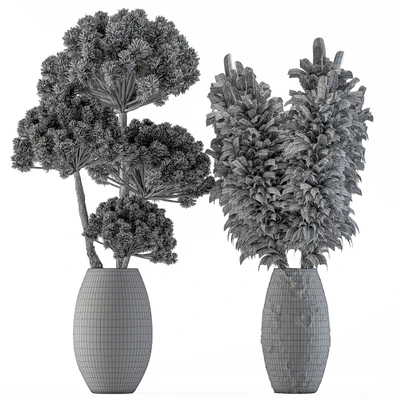 Dry plants 22 - Big Pampas asteroid Pot — Вид 4