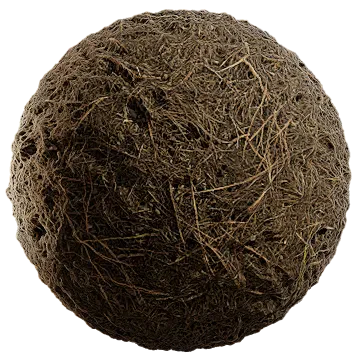 grass and pine 004 — Скачать