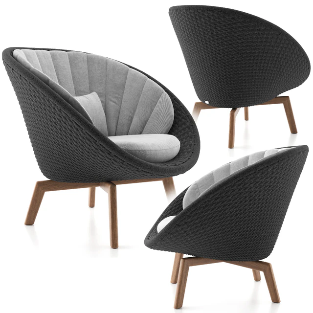 Peacock Lounge Chair — Descargar