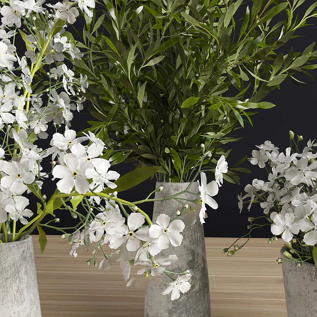Plants set 3 — Descargar