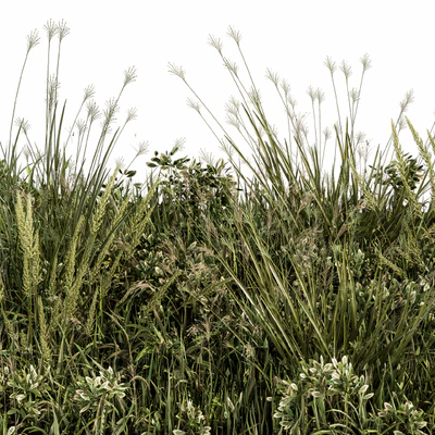 Wild Grass Green - Grass Set 03 — Ver 3
