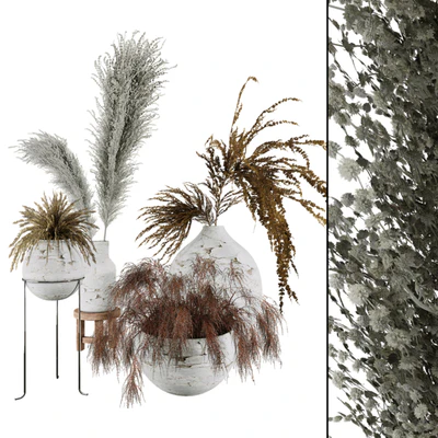Plant Collection Set 01 — скачать