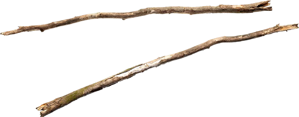old tree branch 012 — Descargar