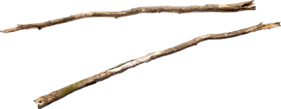 old tree branch 012 — Descargar