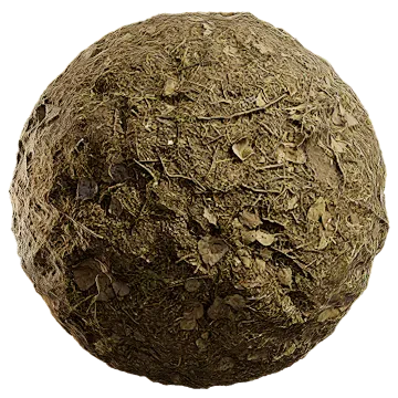 grass dried 069 — Скачать