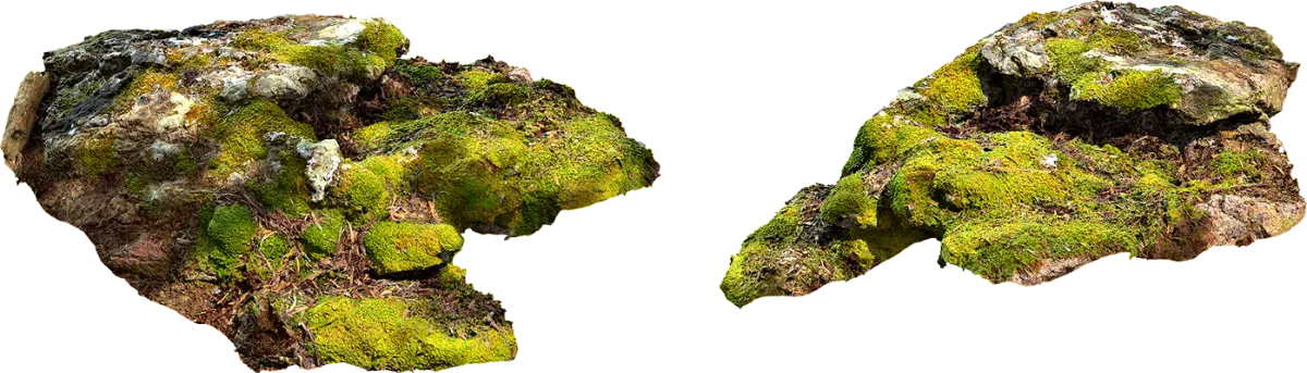 mossy rock 040 — Descargar