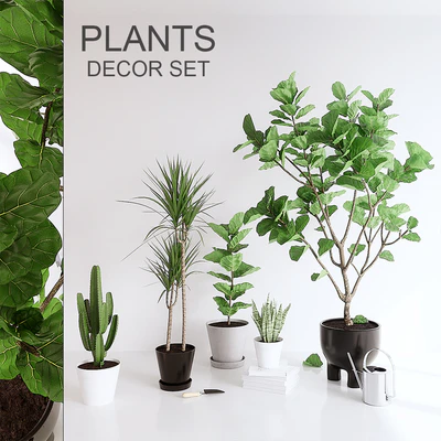 PLANTS SET (vray GGX, corona PBR) — Вид 1