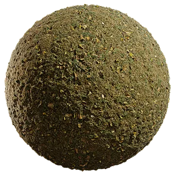 grass dried 049 — Descargar
