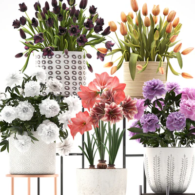 335 plant collection. Stand, Peony, Tulip, Hippeastrum, bouquet set, garden flowers, flower shelf, stand, Scandinavian style — View 2