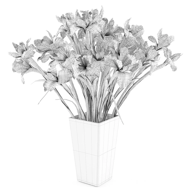 Irises 2 — Descargar