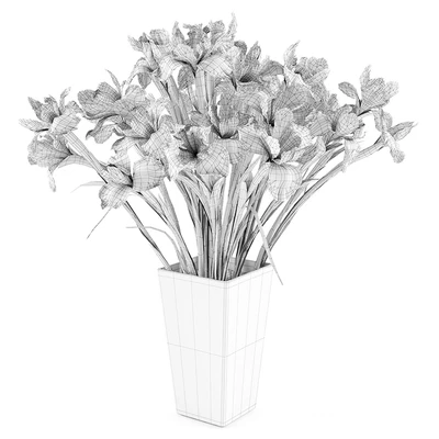 Irises 2 — Ver 3