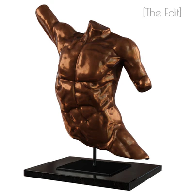 Laocoon Bronze Torso — Вид 3