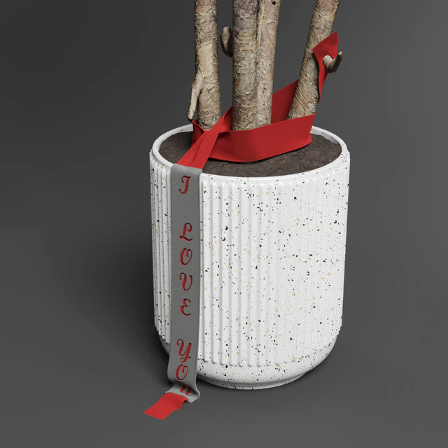 Indoor outdoor plant 111 pot friendship-love tree concrete vase — Скачать