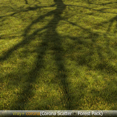Grass Landscape — View 5