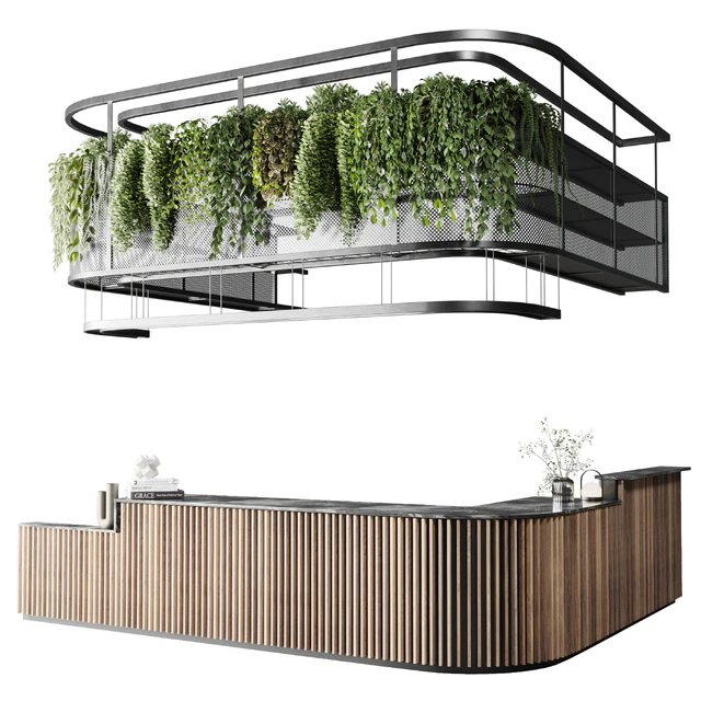 Coffee shop reception, Restaurant counter by hanging plant - 03 — Download